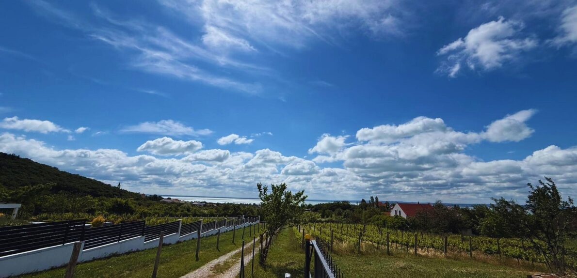 Balatoni Panorámás telek
