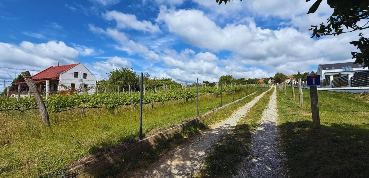 Balatoni Panorámás telek