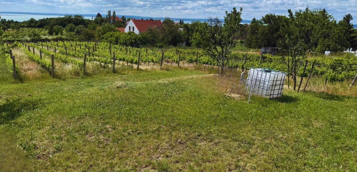 Balatoni Panorámás telek