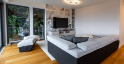 Panorámás Luxus Két Szinten Mámatetőn! Wellness, Medence, borospince és egy Független Apartman.