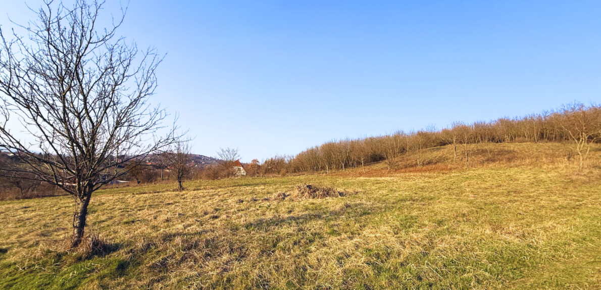 PANORÁMÁS építési telek – kész tervekkel