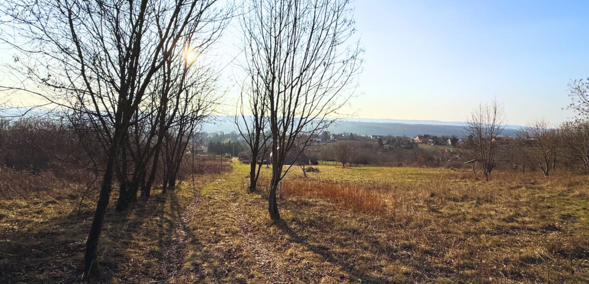 PANORÁMÁS építési telek – kész tervekkel