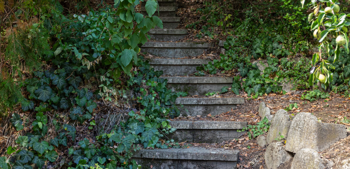 BALATONFŰZFŐN 4 ÉVSZAKOS WELLNESS FAHÁZ